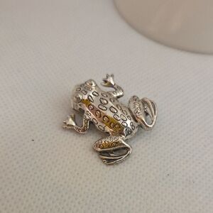 Silver Frog Brooch